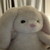 Bơ Bơ cute