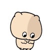 Nicke cuti